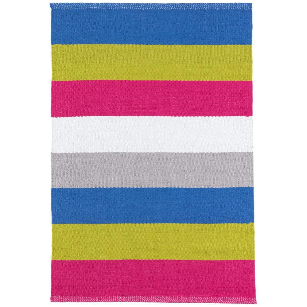 Dash & Albert stripe 8x10 indoor/outdoor rug