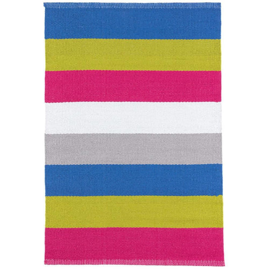 Dash & Albert stripe 8x10 indoor/outdoor rug